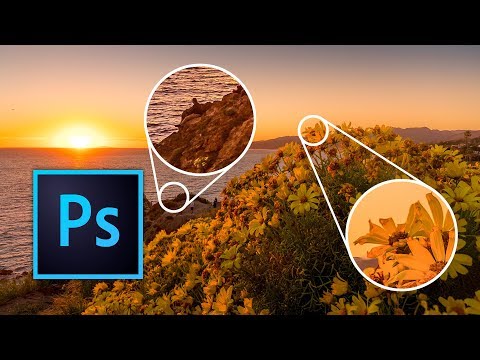 Beginner tutorial: Focus Stacking in Photoshop CC 2019