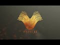 Video 2: Cabal 8 + Senfine + GROTH + Trailer Box