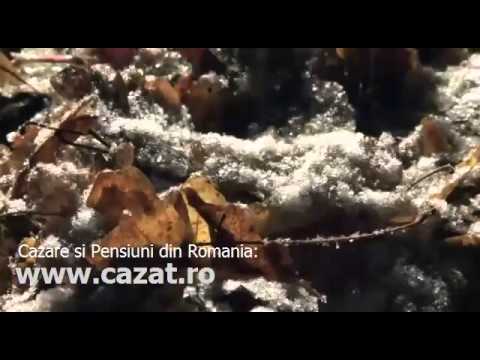 Cazare Salbagelu Nou, Caras Severin - Cazat.ro