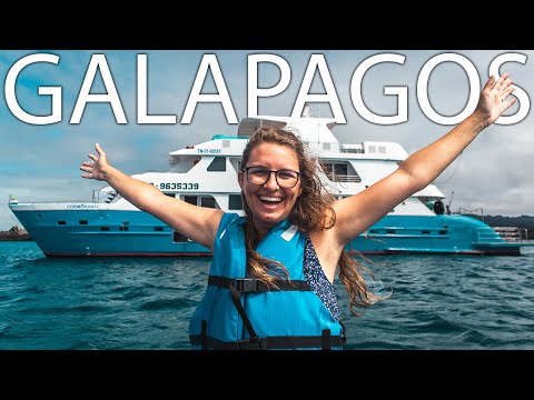 8 Days on a Galapagos Cruise (Full Boat Tour) | Our Experience