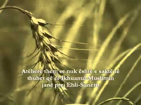 A jane Ikhuanul Muslimin prej Ehli Sunetit