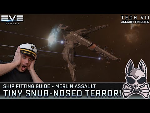The MERLIN ASSAULT!! Snub-nosed Shield Tank Slugger!! || EVE Echoes