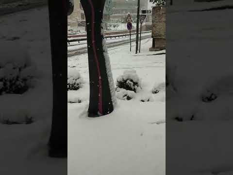 it's snowing sulaimani (Iraq)