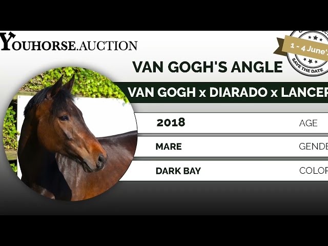 van Gogh's Angle homevideo