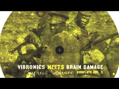Vibronics meets Brain Damage 10" Dubplate Vol.3 'Do U Remember' feat. Sir Jean teaser