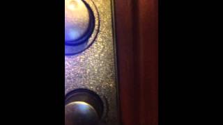 The Movement Medley; Highlights From Greg And Steve&#39;s Dancy Dance Playlist