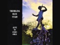 Trembling Blue Stars - Haunted Days (Audio) 