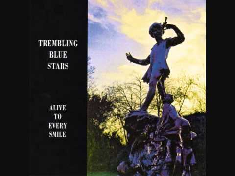 Trembling Blue Stars - Haunted Days (Audio)
