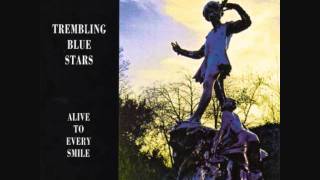 Trembling Blue Stars - Haunted Days (Audio)