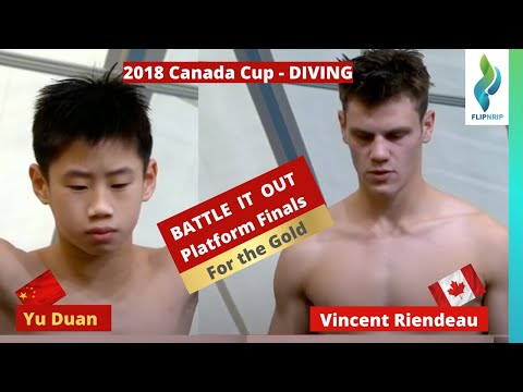 2018 Yu Duan Team China  and Vincent Riendeau Canada Team - Battle it out 10m