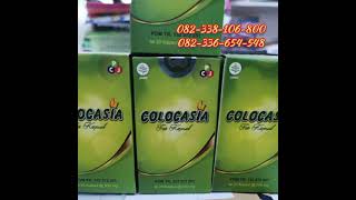 Download lagu Review Colocasia kapsul || Harga colocasia asli 082338106800 mp3 Download lagu Review Colocasia kapsul || Harga colocasia asli 082338106800 mp3