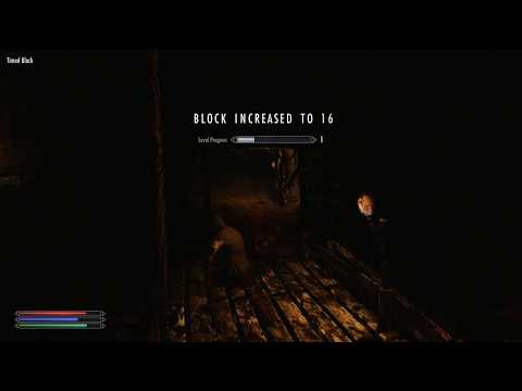 Skyrim SE Embershard Mine Modded Legendary Difficulty - Altmer, 2H, Illusion