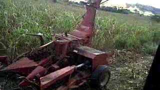 preview picture of video 'Corte de maiz para alimento de bovino con tractor  Belarus'