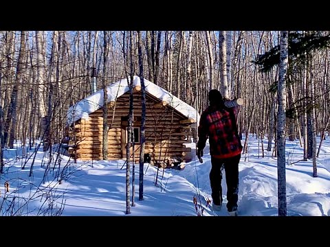 Simple Off Grid Log Cabin: Building A Counter With Logs. Hand Tools.