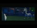 Madagascar PS2 Episode 4 My Little Penguin Buddy