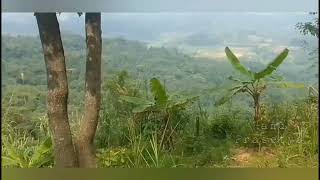 Download lagu IBUN SAREUPNA,,pop suNda laWas mengiringi suasaNa Alam pedesaaNa jawa baRat mp3