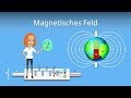 Magnetisches Feld (B-Feld)