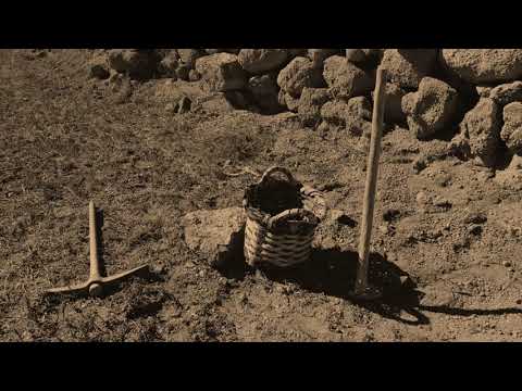 Los bancales y nateros en Tenerife