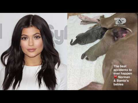 Select, 22 Nentor 2016, Pjesa 1 - Top Channel Albania - Entertainment Show