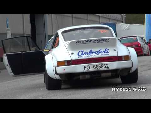 Porsche 911 Carrera SC Rally Special Amazing Sound!