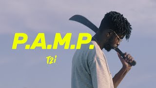 T2i / P.A.M.P. (clip)