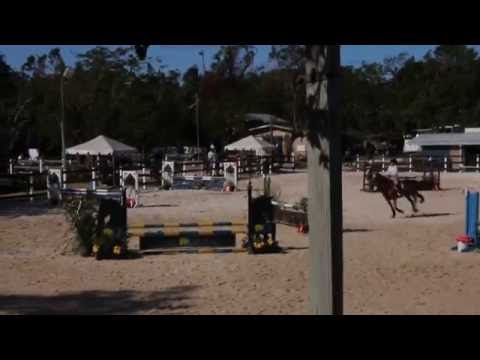 Equestrian Bahamas CEC November 2016