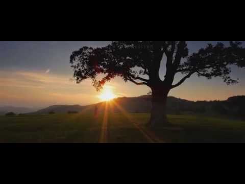 Reel 2014 - Tvorba videa - Videoprodukce