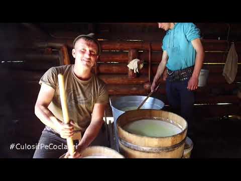 La stâna lu' Costel Avram, ultimul cioban din Cârlibaba, jud. Suceava - muntele Măgura Mică (🆕2021)