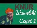 KNUR WAWELSKI cz.1(Przeróbka Kononowicz i Major)