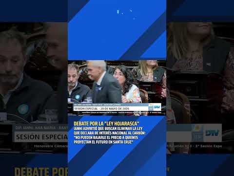 "Los mineros los están mirando" advirtió la diputada Ianni sobre la Ley Hojarasca