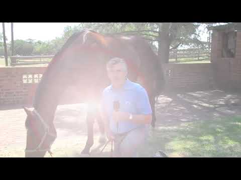 The Road to the SUN MET 2018 with Andrew Bon