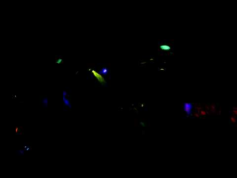 VIBRONICS & MADU & ECHO RANKS & O.B.F & SHANTI D au ZoO