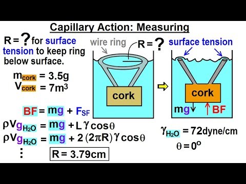 Physics Ch 33A Test Your Knowledge Fluid Statics 1 of 43 Pressure with Acceleration