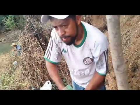 piau bruto na massinha, ponte vila (represa de furnas)