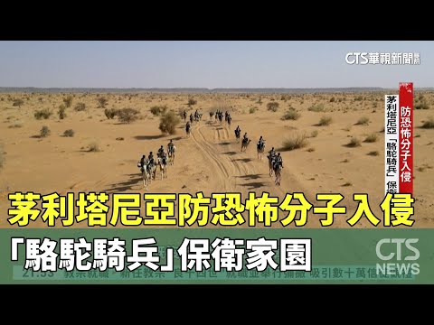 防恐怖分子入侵　茅利塔尼亞「駱駝騎兵」保衛家園