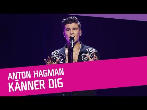 Anton Westerlin - Bevæg Dig Lidt on Spotify Charts