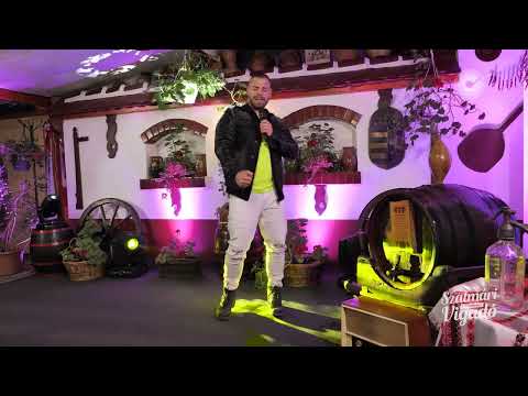 Szlabik Erik - Jól érzem te vagy a végzetem ( Szatmári vigadó TV felvétel )