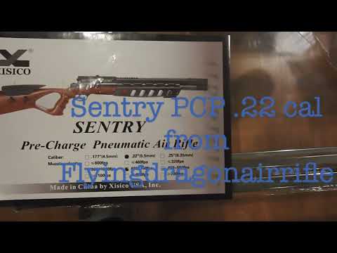 My Xisico Sentry PCP Airgun in .22 Cal/ 5.5mm