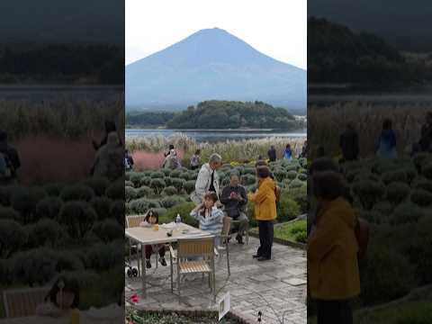 Video Thumbnail: Japan: Still no snow on Mount Fuji, breaking record | AFP