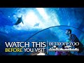 Watch This Before You Visit The Detroit Zoo