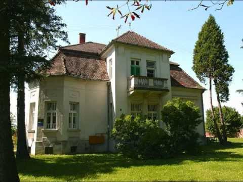 Nebo moje Slavonije - tamburaši - SLAVONSKI SAN