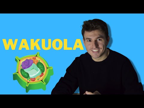 Biologia z Syna.psą - Wakuola #Matura2022 #Matura