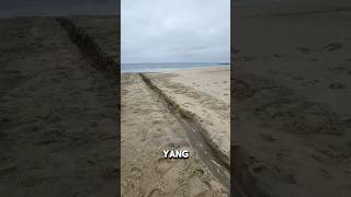 Download lagu THEY WERE ARRESTED AFTER GOING VIRAL😱#viralvideo #laughing #information mp3 Download lagu THEY WERE ARRESTED AFTER GOING VIRAL😱#viralvideo #laughing #information mp3