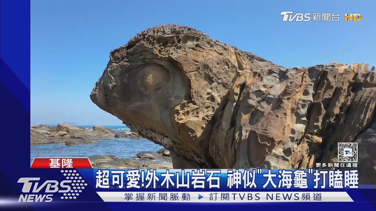 超可愛！外木山岩石　神似「大海龜」打瞌睡