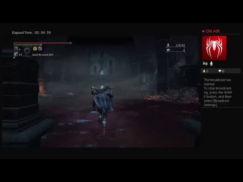 Bloodborne Stream of Pain