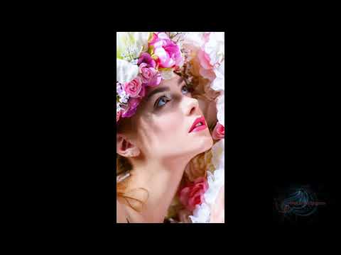 Neffos Y7 Stock Wallpapers