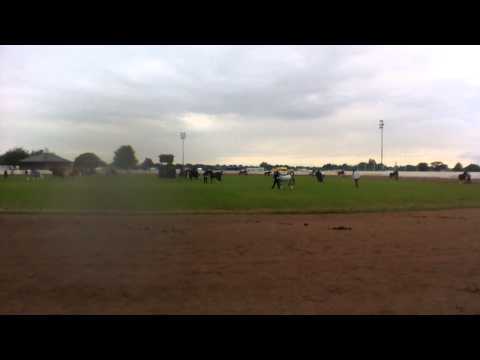 dreamtime and dandini. equifest 2014