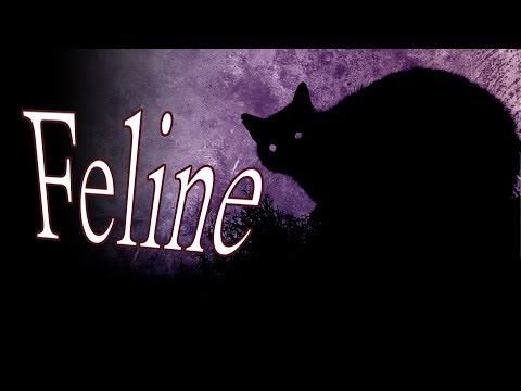 "Feline" by Killahawke1 - Creepypasta
