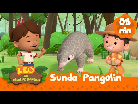 Witness21  2022 02 18