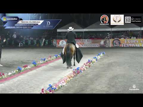 I COPA ALDEA FESTIVAL EQUINO UTICA - CUNDINAMARCA - ASDEPASO 2026.